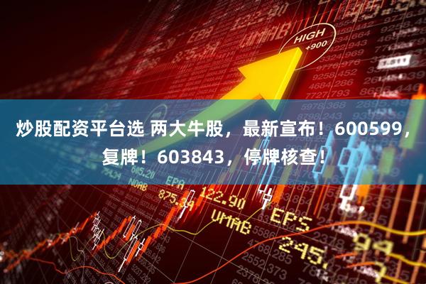 炒股配资平台选 两大牛股，最新宣布！600599，复牌！603843，停牌核查！